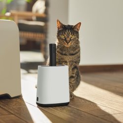 Rotho Biala White - Kuld Scoop + Poser