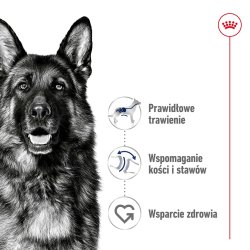 Royal Canin Maxi Adult - Trfoder Til Hunde - 15 Kg