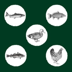 EDEN Original Cousine - trfoder til katte - 10 kg