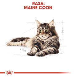 Royal Canin Fbn Maine Coon Trfoder Til Voksne - 10 Kg