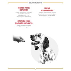 Royal Canin Hunde Urinary S/O Godbidder - Hunde Godbid - 230G