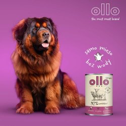 OLLO Umami Lamb and beef - vdfoder til hunde - 850g