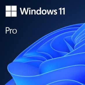 Microsoft Windows 11 Pro 1 licens(er)