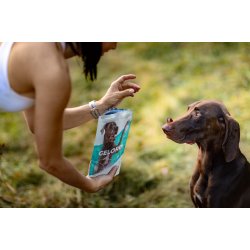 GELOREN Large dog Joints - hundevitaminer - 420g