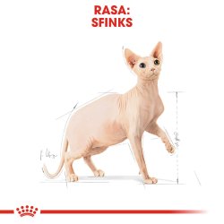 Royal Canin Sphynx Trfoder Til Katte 2 Kg
