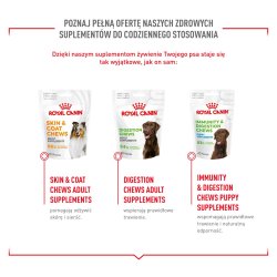 Royal Canin Kosttilskud Hundeled Og Aldrende Voksen - Hundevitaminer - 240G