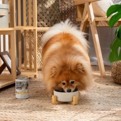 RAW PALEO Adult Monoprotein Kalkun - vdt hundefoder - 800 g