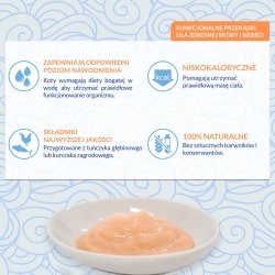 Inaba Churu Skin &amp; Coat Kyllingopskrift - Kattegodbidder - 4X14 G