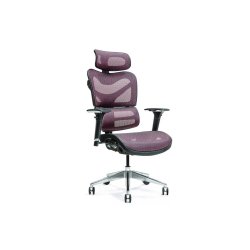 Ergonomisk kontorstol ERGO 600 plum