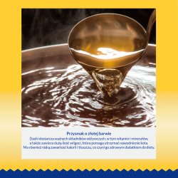 Inaba Dashi Delights Kylling Med Laks I Bouillon - Kattegodbidder - 70G