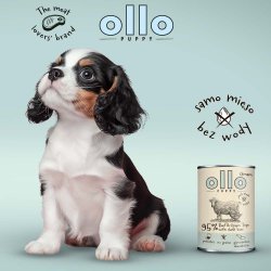 OLLO Puppy Umami Oksekd og Grnne Kallun med Andelever - vdfoder til hunde - 850g