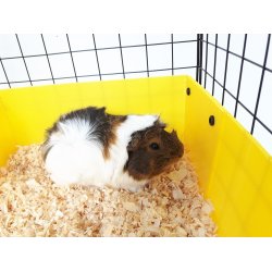 C&C 5x2 modulrt bur gris kanin pindsvin slv 180 x 75 x 37 cm