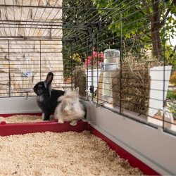 FERPLAST Krolik 160  - Bur