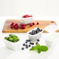 Rotho Freeze - Frysebeholder - 6X250ml