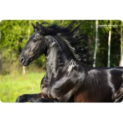 Esperanza EA133 musemtte Flerfarvet