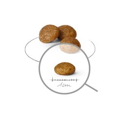 Royal Canin Voksen X- Lille Shn - Trfoder Til Hunde - 1,5 Kg