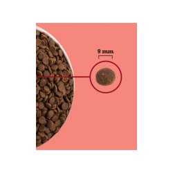 ACANA Highest Protein Indoor Cat - trfoder til kattekillinger - 1,8kg