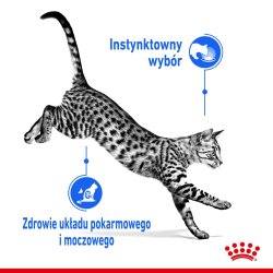 Royal Canin Fhn Indendrs Gel&eacute; - Vdfoder Til Voksne Katte - 12X85g