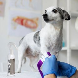 Jm Sante Polisept Vet - Sroplsning Til Hunde Og Katte  200 Ml