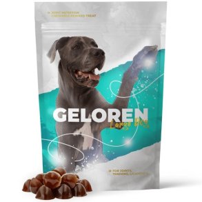 GELOREN Large dog Joints - hundevitaminer - 420g