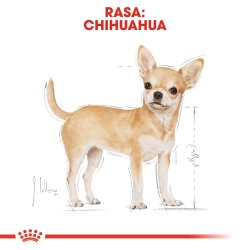Royal Canin Chihuahua - Pakke 12X85g