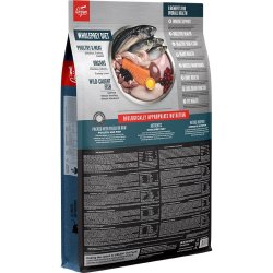 ORIJEN Guardian 8 - trfoder til kattekillinger -  4,5 kg