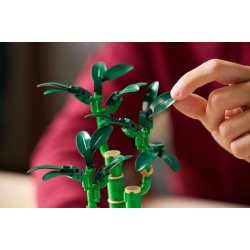Lego Icons 10344 Den Botaniske Samling - Lucky Bamboo