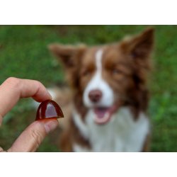 GELOREN Small dog Joints - hundevitaminer - 180g