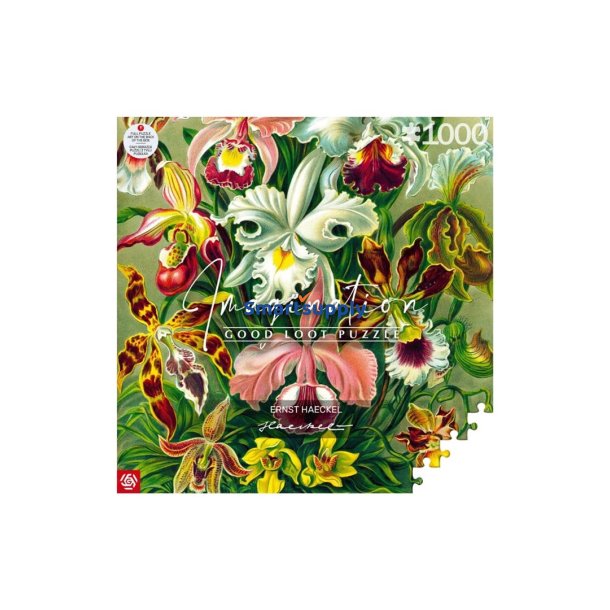 Imagination Puzzle: Ernst Haeckel Orchid 1000 Elementer