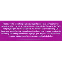 Whiskas Fiskefavoritter I Gel&eacute; - Vdfoder Til Katte - 40X85 G