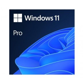 Microsoft Windows 11 Pro 1 licens(er)