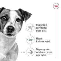 Royal Canin Mini Aging Adult +12 - Trfoder Til Hunde - 3,5 Kg