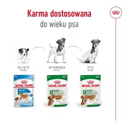 Royal Canin Mini Voksen - Vdfoder Til Hunde - 12 X 85G