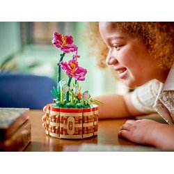 Lego Disney 43252 Moanas Urtepotte