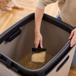 Rotho Biala Xl Cappuccino - Kattebakke