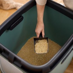 Rotho Biala Xl Grn - Kattebakke