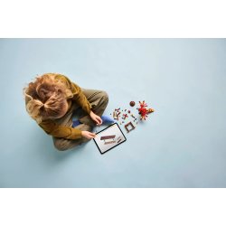 Lego Harry Potter 76448 Fawkes: Dumbledores Phoenix