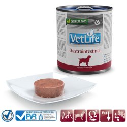 Farmina Vet Life Diet DOG Gastrointestinal 300 g
