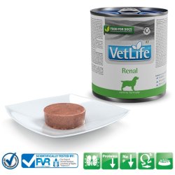 FARMINA Vet Life Canine Renal - vdt hundefoder - 300 g