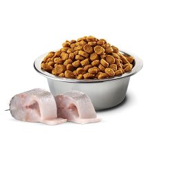 FARMINA N&D Havaborre, Spirulina og Fennikel Adult Mini - trfoder til hunde - 2 kg