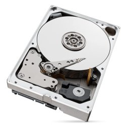 Seagate Ironwolf Pro Intern Harddisk 10Tb 256 MB 3,5" Serial ATA III (St10000nt001)
