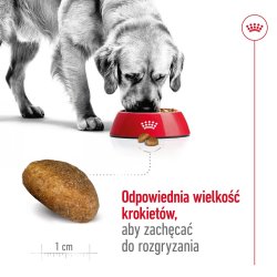 Royal Canin Maxi Adult - Trfoder Til Hunde - 15 Kg