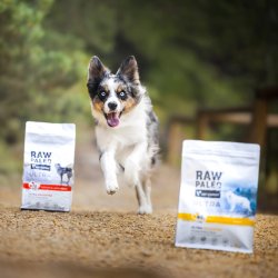 RAW PALEO Ultra Medium&Large Puppy Kalkun - trfoder til hvalpe - 2 kg