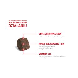 Royal Canin Kosttilskud Hundeled Og Aldrende Voksen - Hundevitaminer - 240G