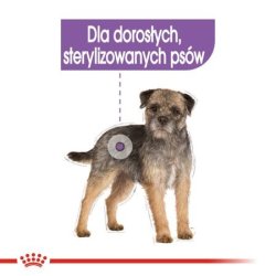 Royal Canin Ccn Sterilized Loaf - Vdfoder Til Voksne Hunde - 12X85g