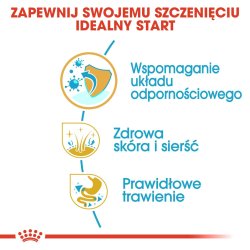 Royal Canin Golden Retriever-Hvalp - Trfoder Til Hunde - 12 Kg