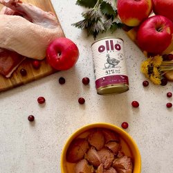 OLLO Pure Duck with apple - vdfoder til hunde - 400g