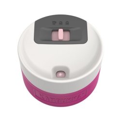 Kambukka Etna Brushing Bride - Termokrus, 300 Ml