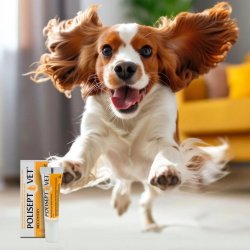 Jm Sante Polisept Vet Recovery - Energitilskud Til Hunde Og Katte  12 Ml