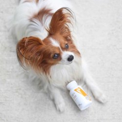 Vet Expert Immunsystem - Immunsttteprparat Til Hunde Og Katte - 30 Caps.